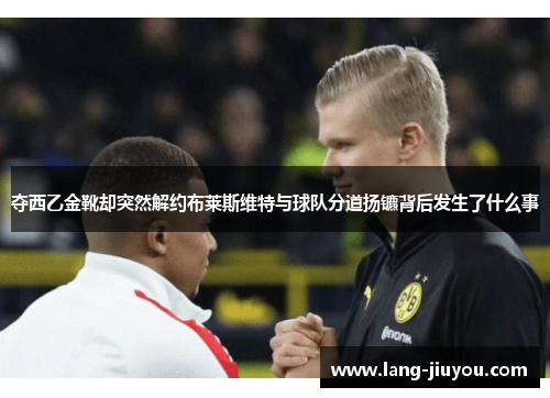 夺西乙金靴却突然解约布莱斯维特与球队分道扬镳背后发生了什么事