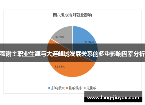 穆谢奎职业生涯与大连鲲城发展关系的多重影响因素分析